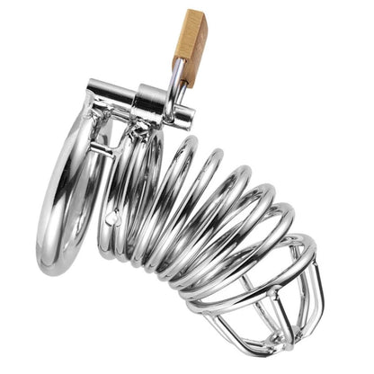 Bird Cage Locked Cock Ring Style Chastity Device