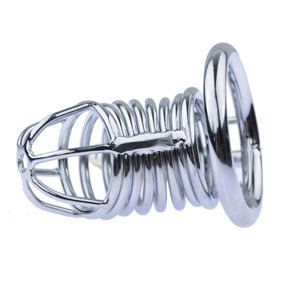 Bird Cage Locked Cock Ring Style Chastity Device