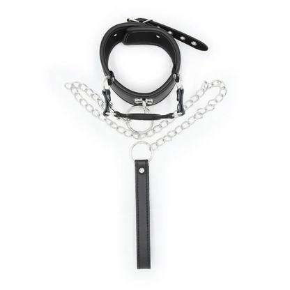 Fetish Slave Collar with O-Ring Open Mouthed Gag and Lead