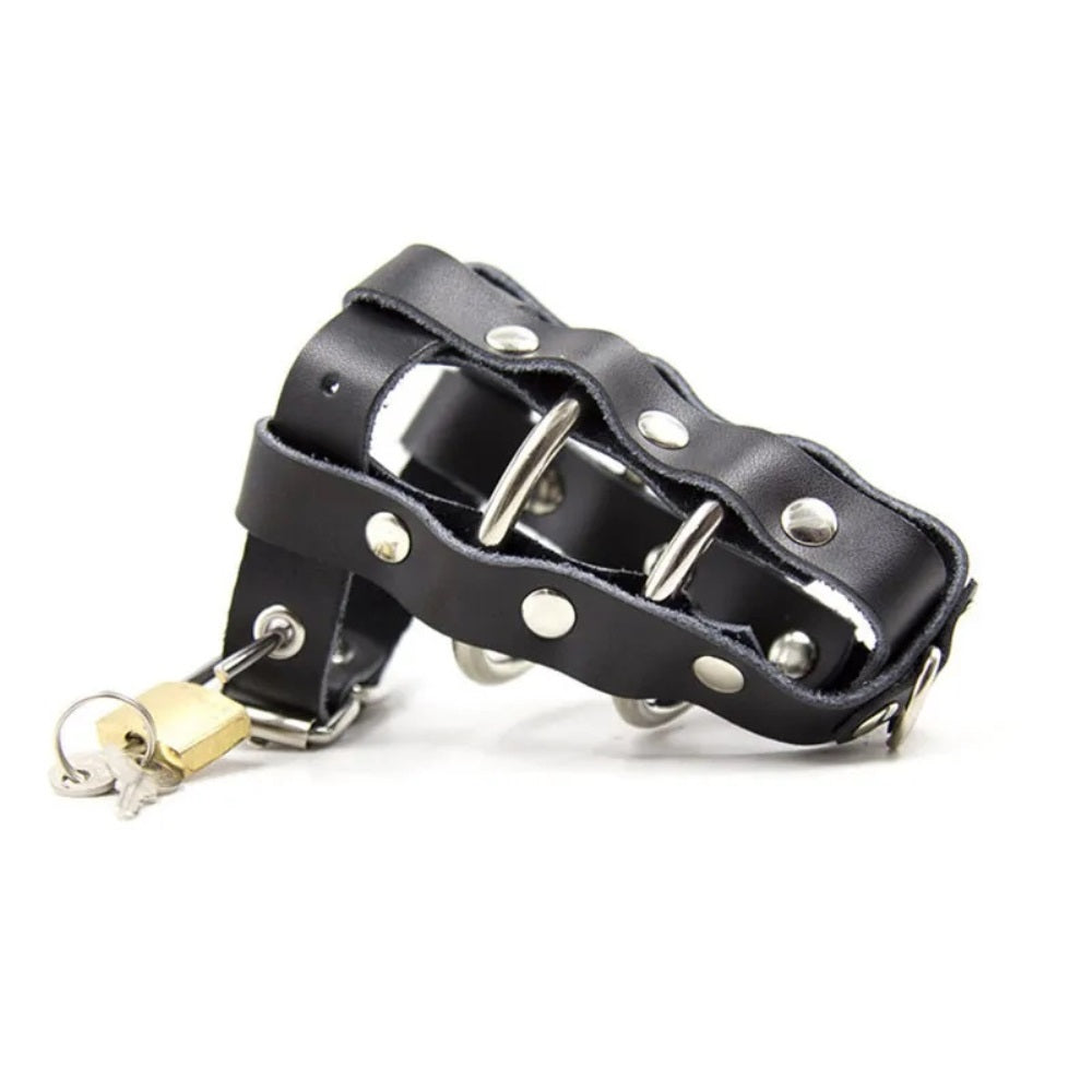 Double Ring Cock Ring Harness Chastity Device