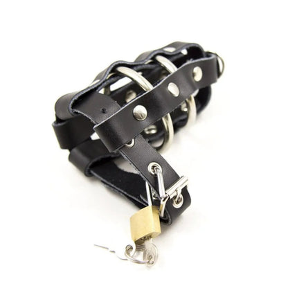 Double Ring Cock Ring Harness Chastity Device