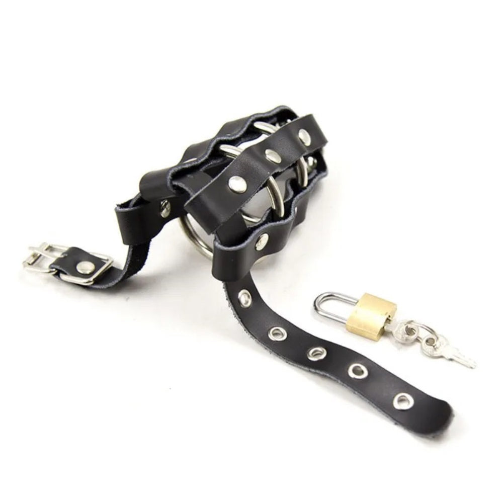 Double Ring Cock Ring Harness Chastity Device