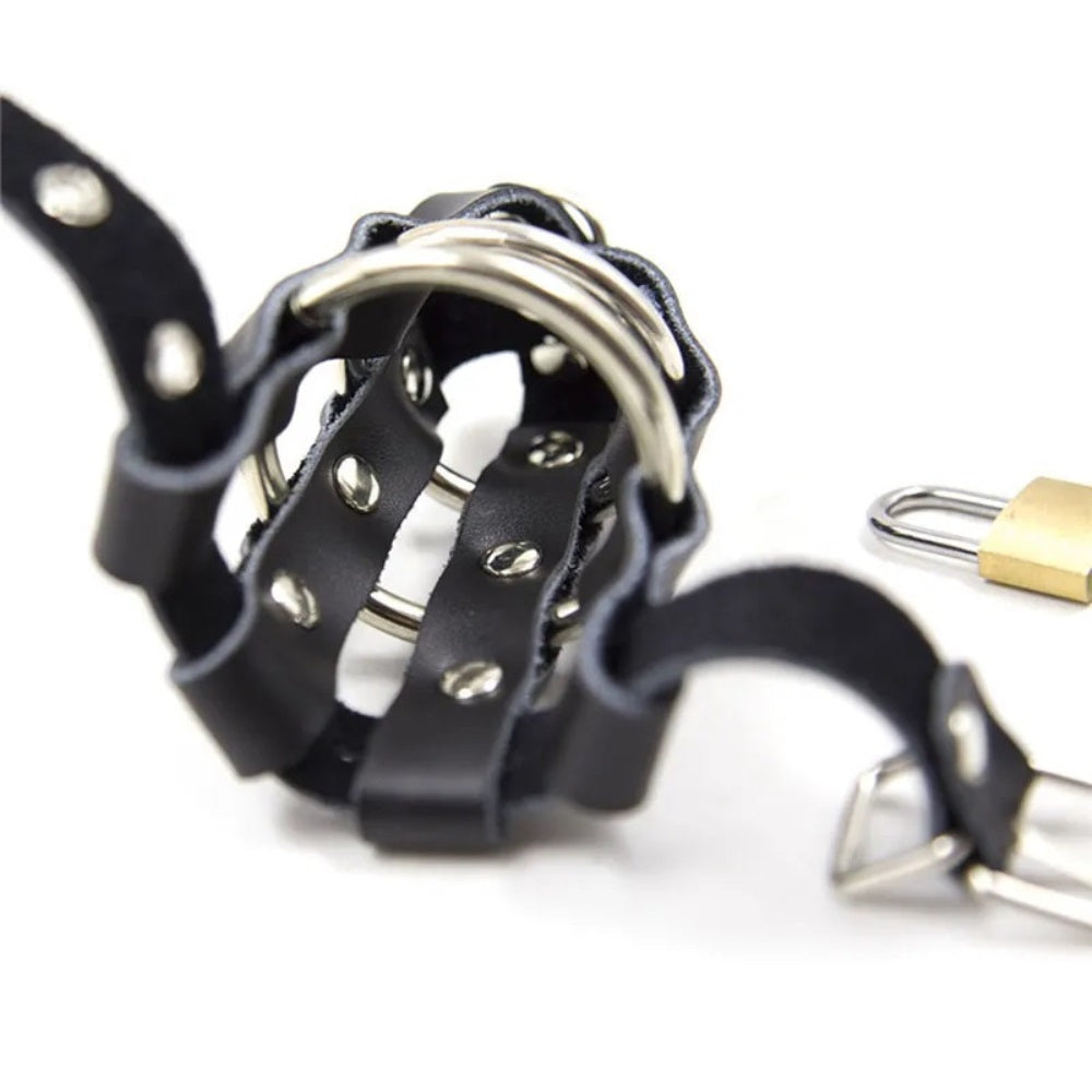 Double Ring Cock Ring Harness Chastity Device