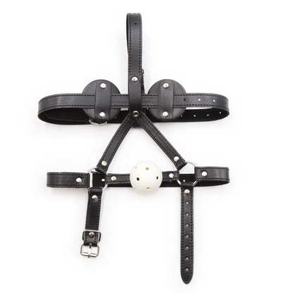 Head Harness Gag with Detachable Blinder Eyes