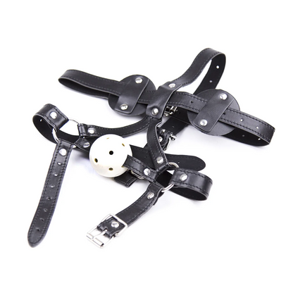 Head Harness Gag with Detachable Blinder Eyes