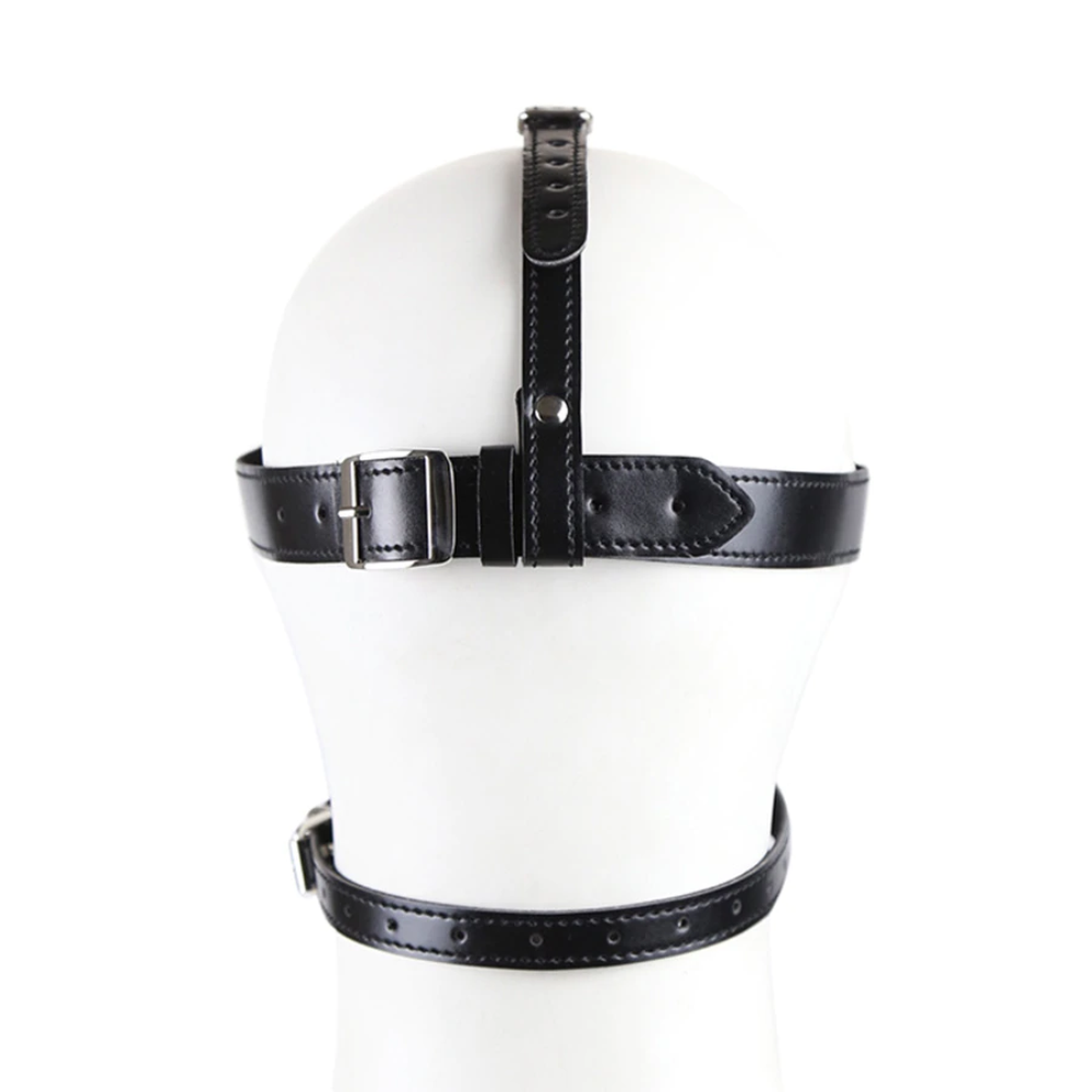 Premium Head Harness with Rubber Ball Gag and Blinder