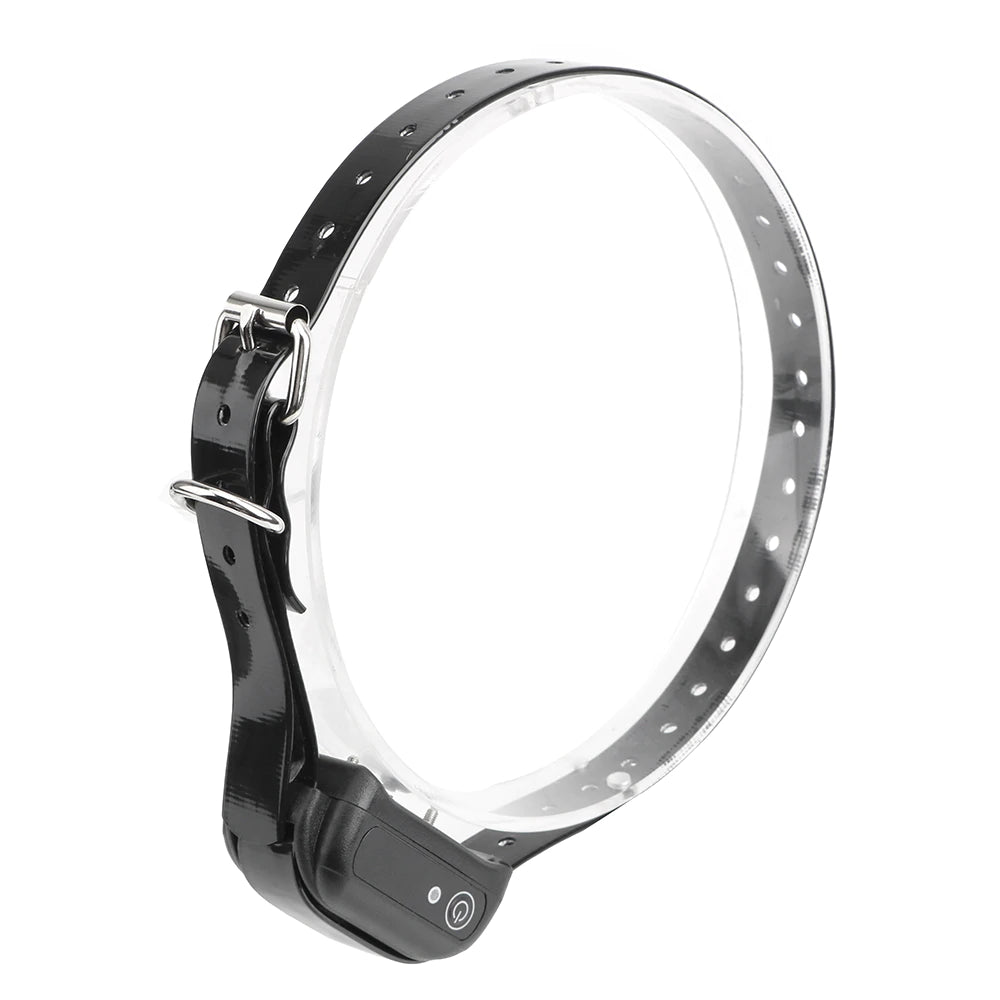 Men's RechargeableCBT Estim Remote Testicle Cock Ring Neck Collar