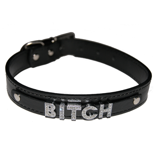 BITCH Fetish Collar Mean Girl Femdom Black, Red, Pink, Blue & White